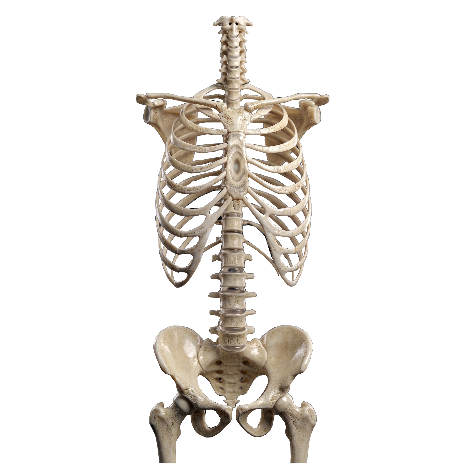 Medicina del dolor - Columna, huesos y articulaciones